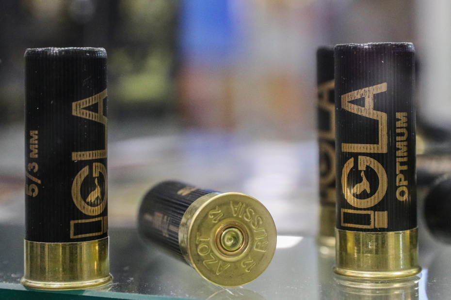    Сергей Булкин/NEWS.ru