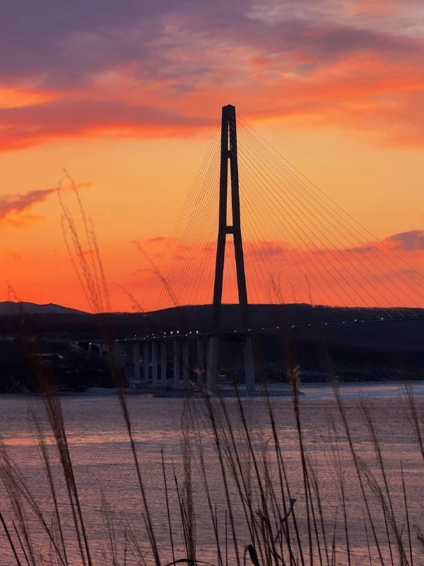 Фото: diiiimonic