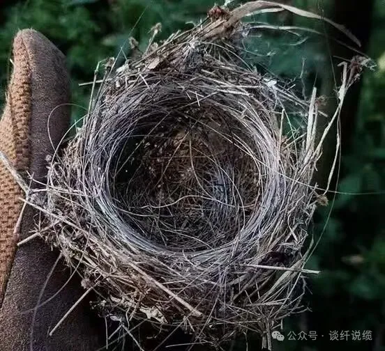 Фото: Пекинский университет почты и телекоммуникаций