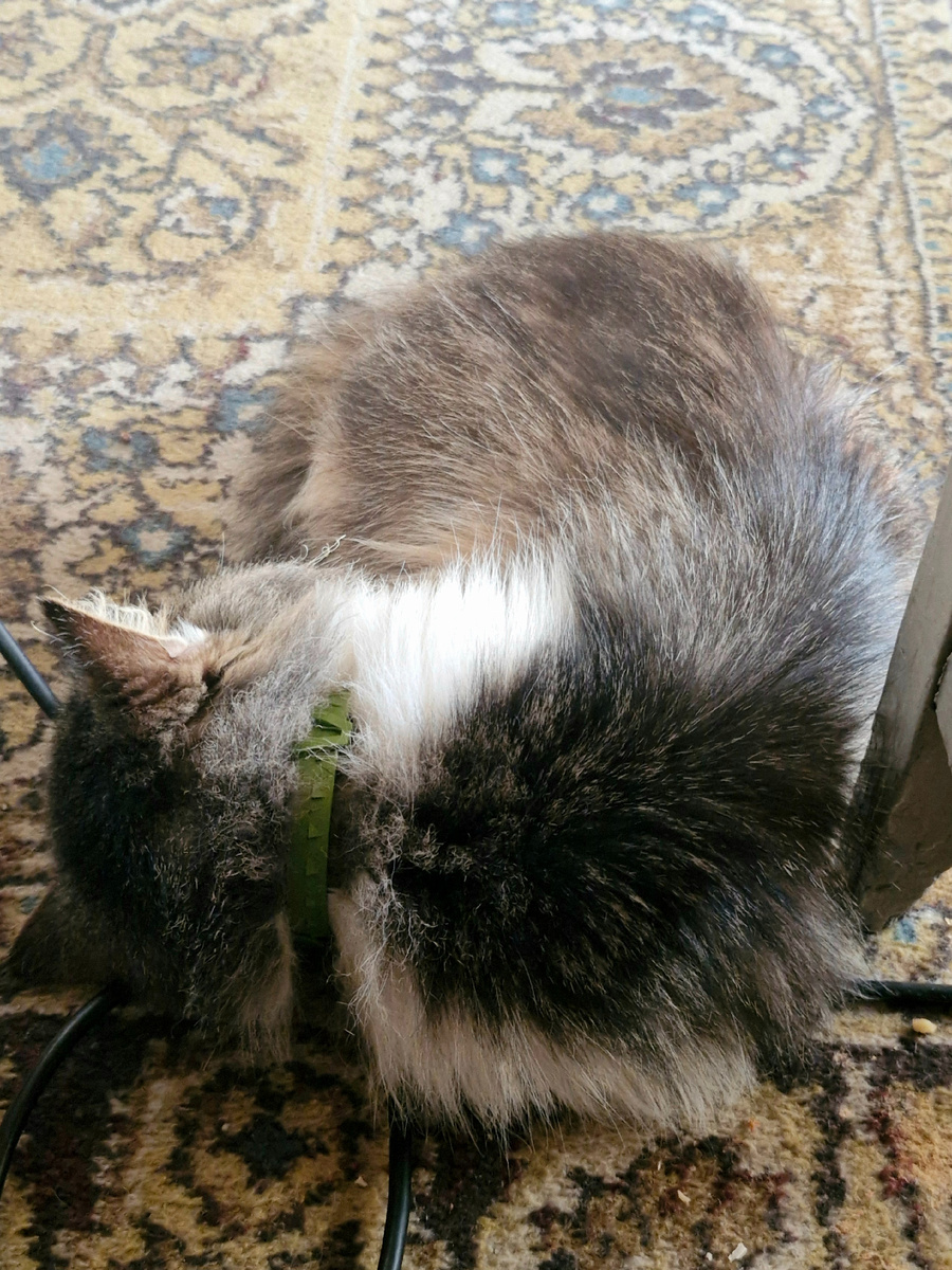 Фото автора 