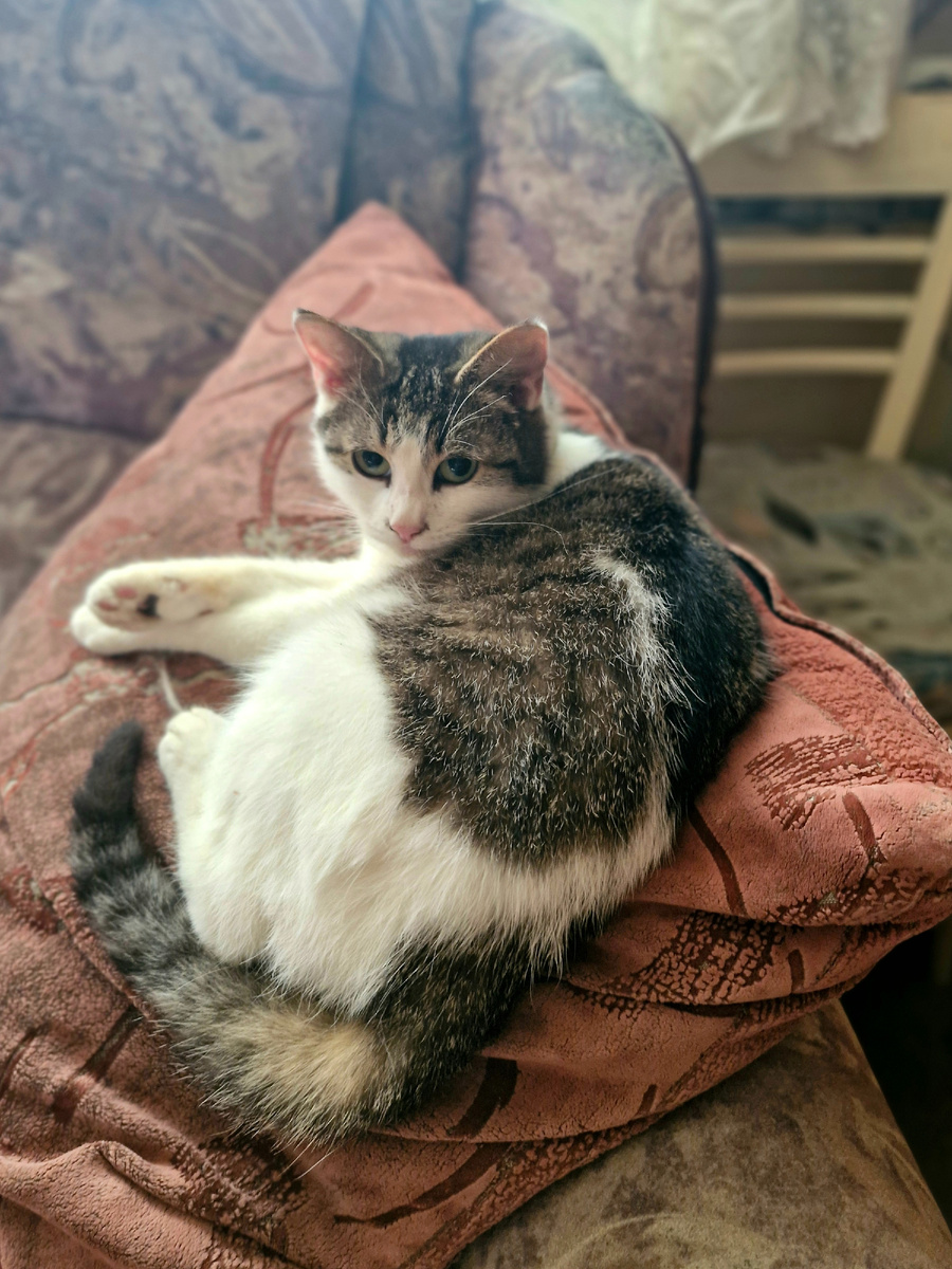 Фото автора 