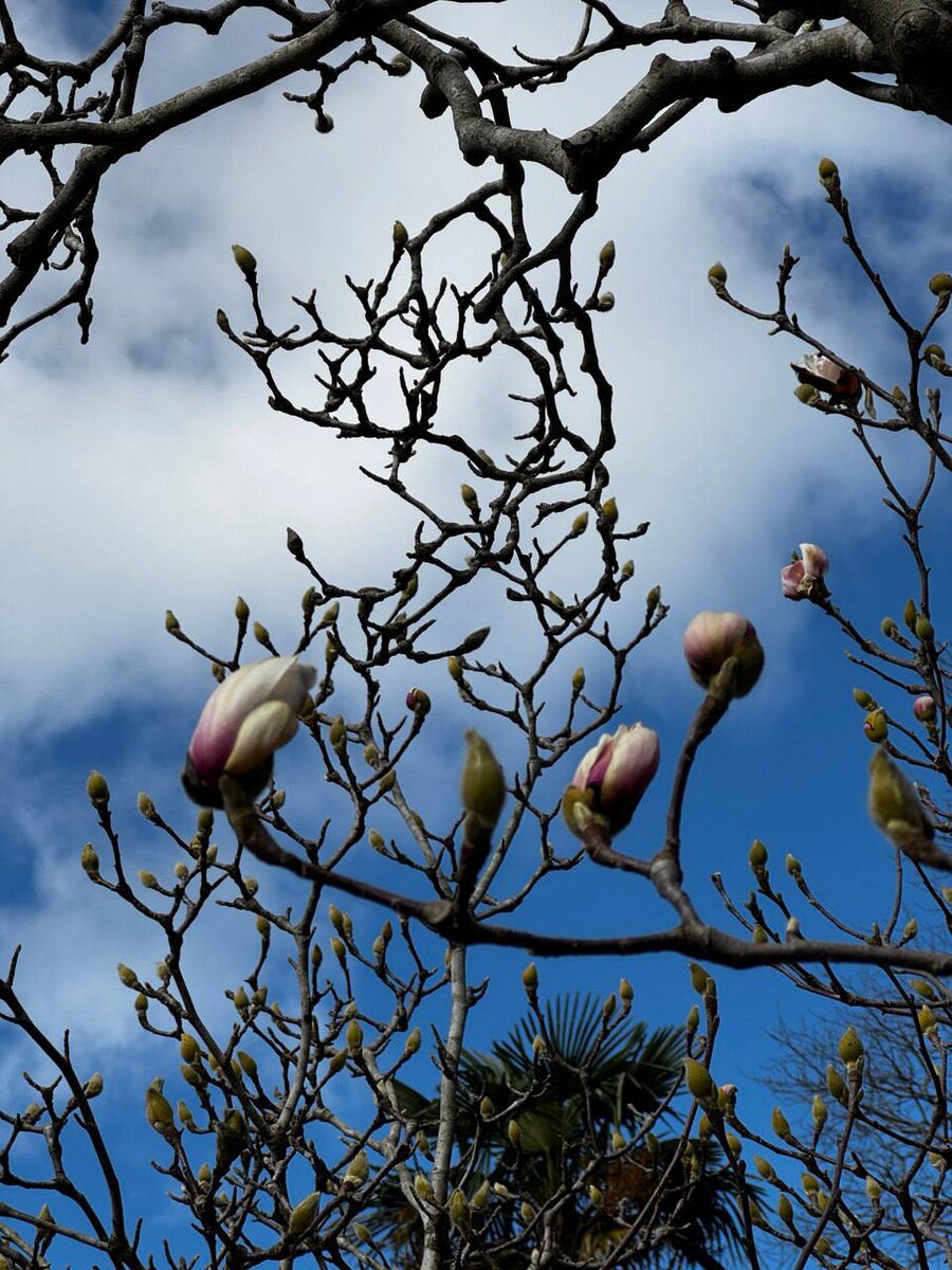    Фото: пресс-служба Кавказского заповедника