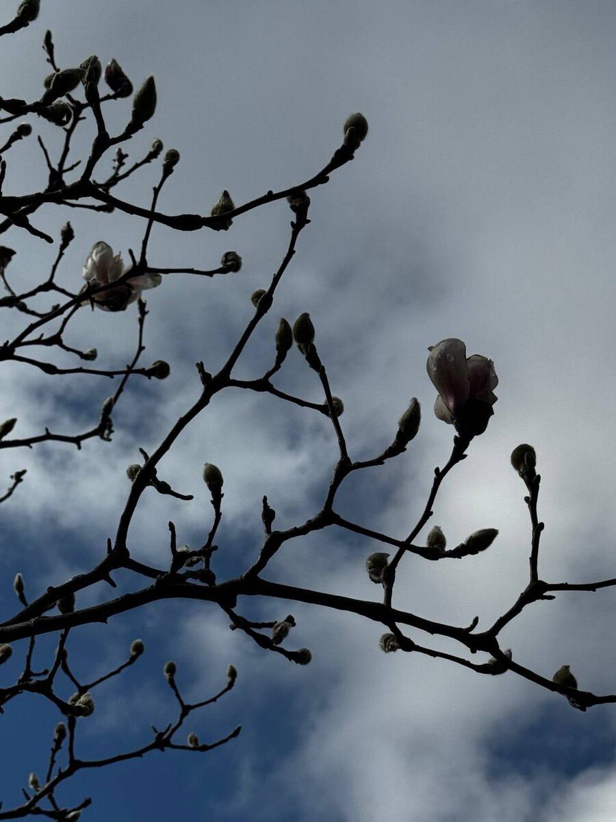    Фото: пресс-служба Кавказского заповедника