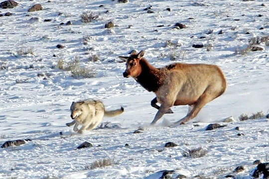 Так от кого же надо защищать Природу?