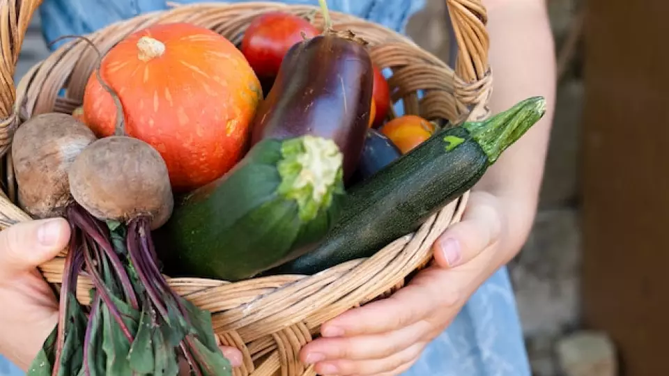 Фото: freepik.com