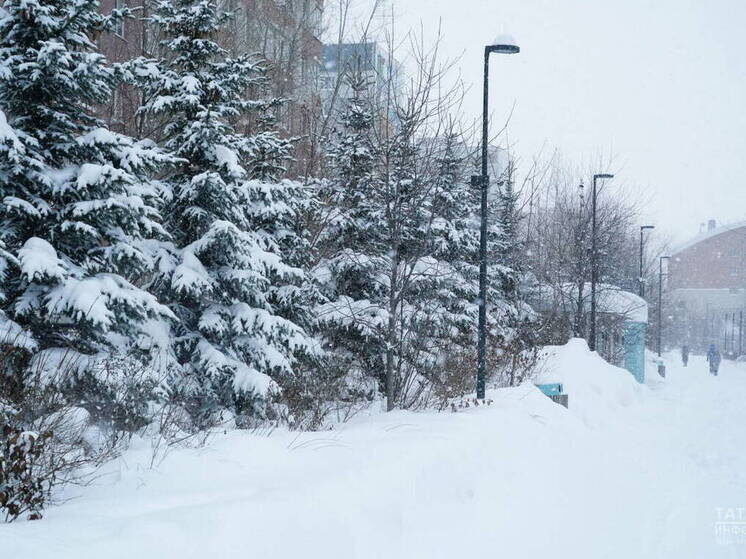     Фото: ИА "Татар-информ"