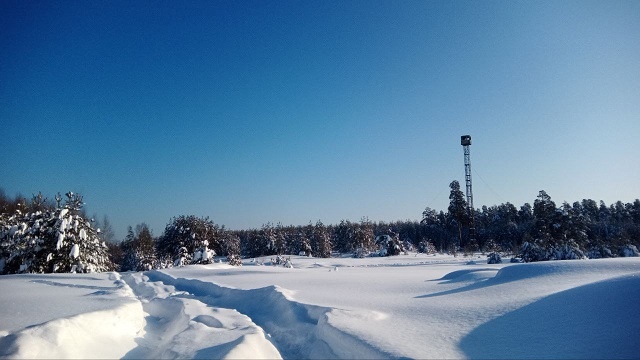 Поселок Рустай. Граница Керженского заповедника