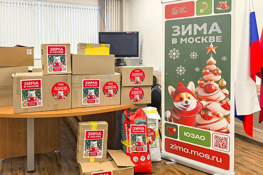    © Пресс-служба Мэра и Правительства Москвы 