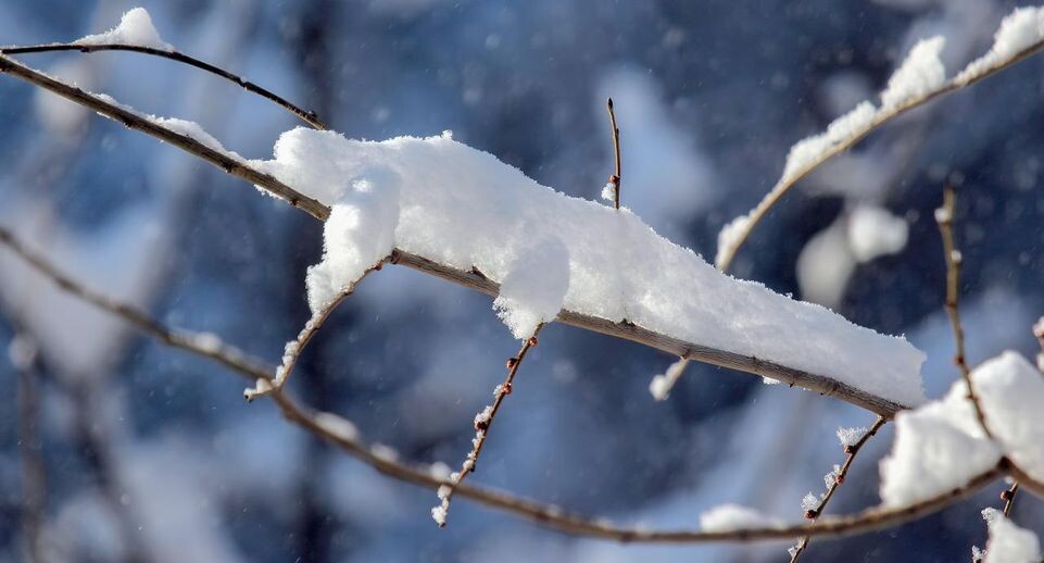    istockphoto.com/photosaint