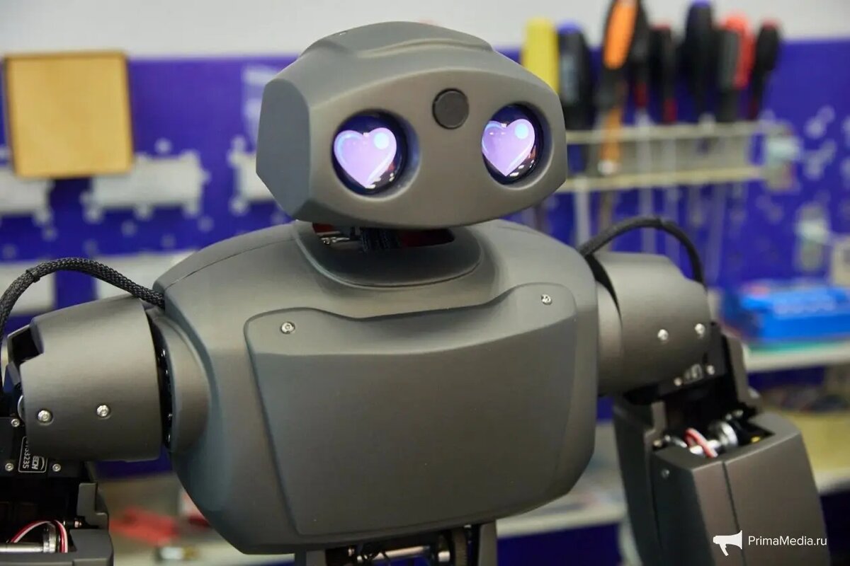    Фото: primamedia.ru Павел Евсеев