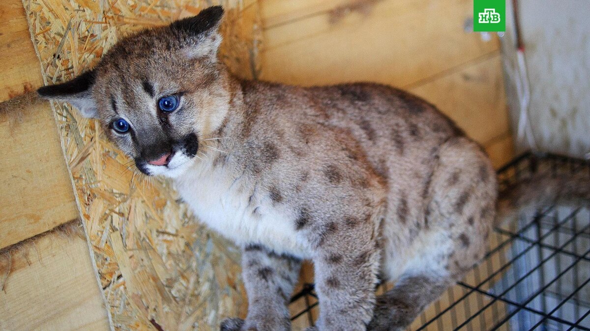    Фото: РИА Новости © 2026, Валерия Кузора