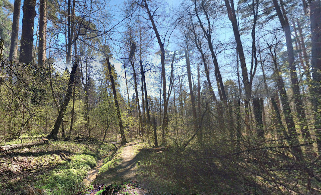 Фото: скриншот Google Maps
