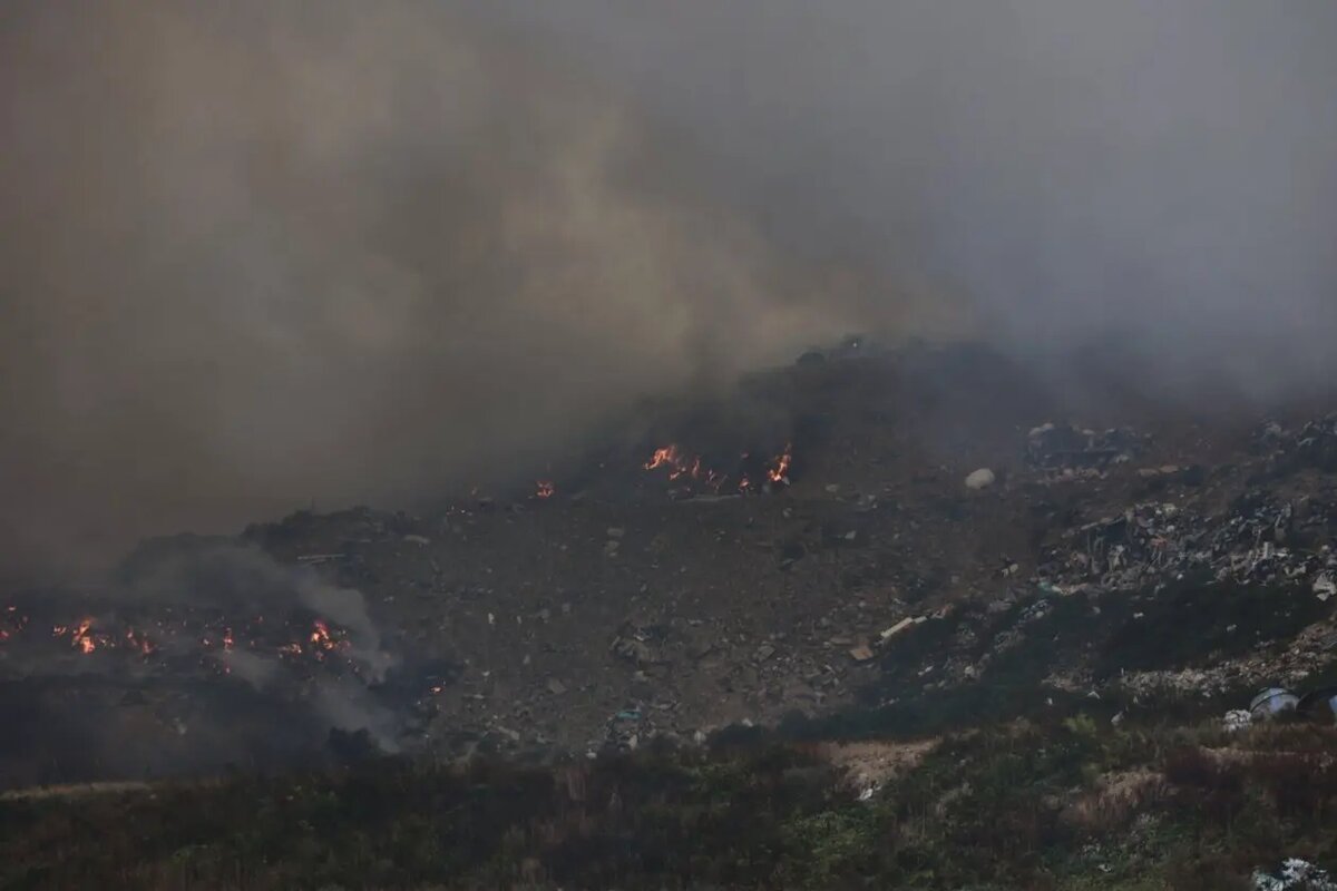    Фото: primamedia.ru Владимир Новиков