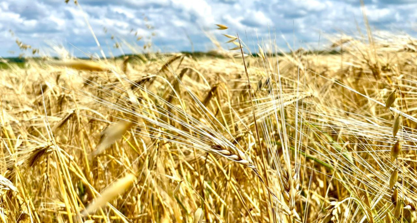    Пресс-служба Правительства Тамбовской области