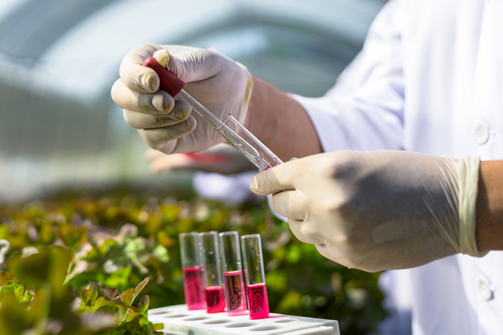 Фото: iStock/Charnchai