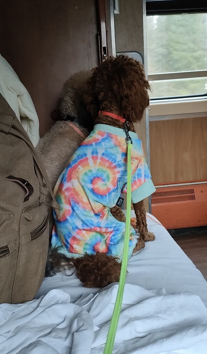 Едем в Питер