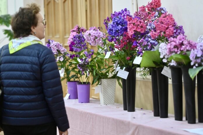 Фото: Полина Зиновьева, «Областная газета»