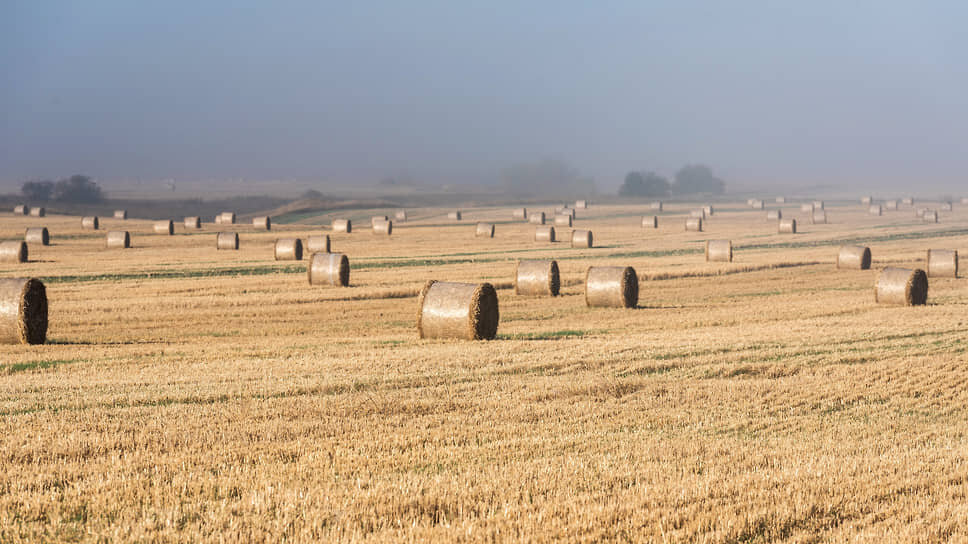Фото: Олег Харсеев / Коммерсантъ