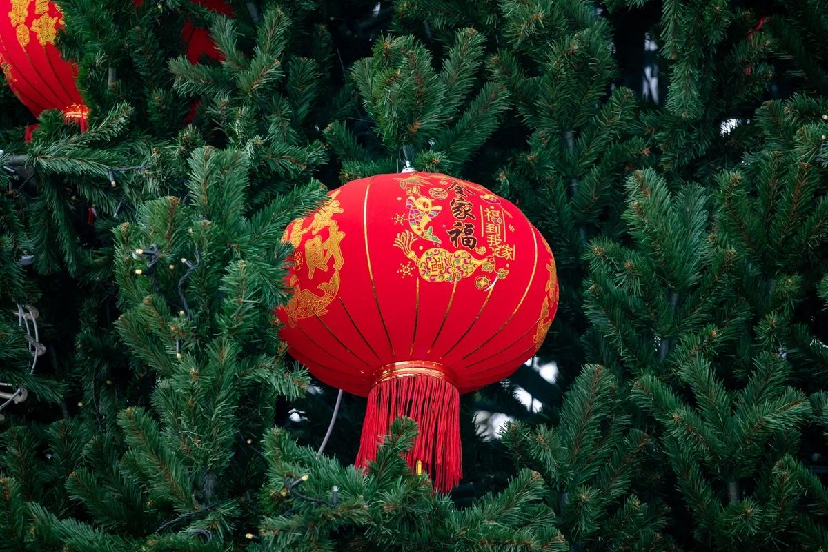 Фото: Правительство Амурской области