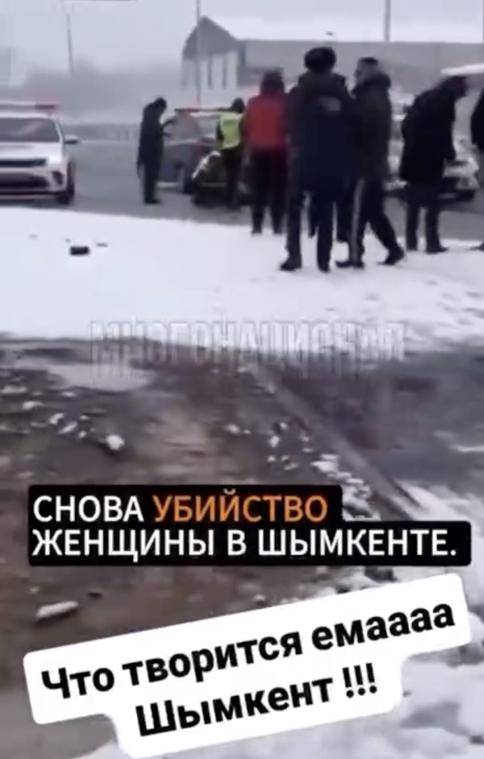    Скриншот: t.me/mnogonazi/29638