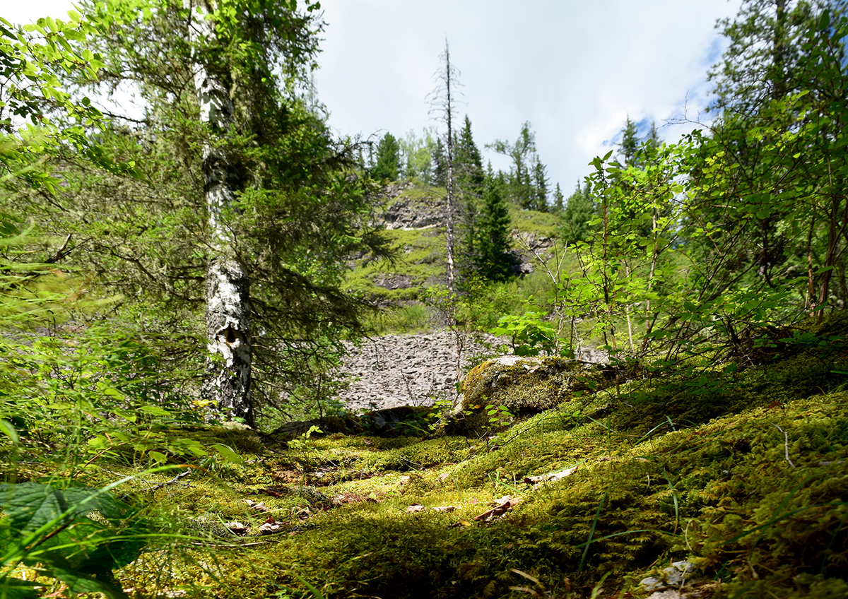 Фотографии: Каскад водопадов на реке Шинок (Солонешенский район, Алтайский край)