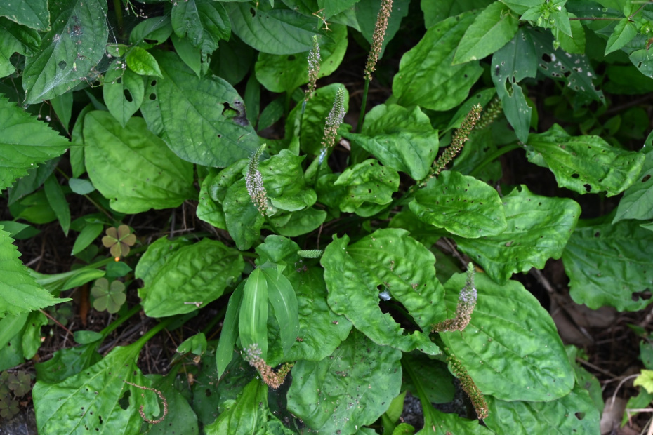    Shutterstock/FOTODOM