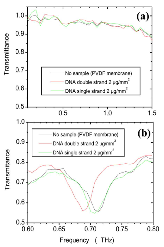 Терагерцовое детектирование гибридизации ДНК: (a) с металлической сеткой и (b) без нее.