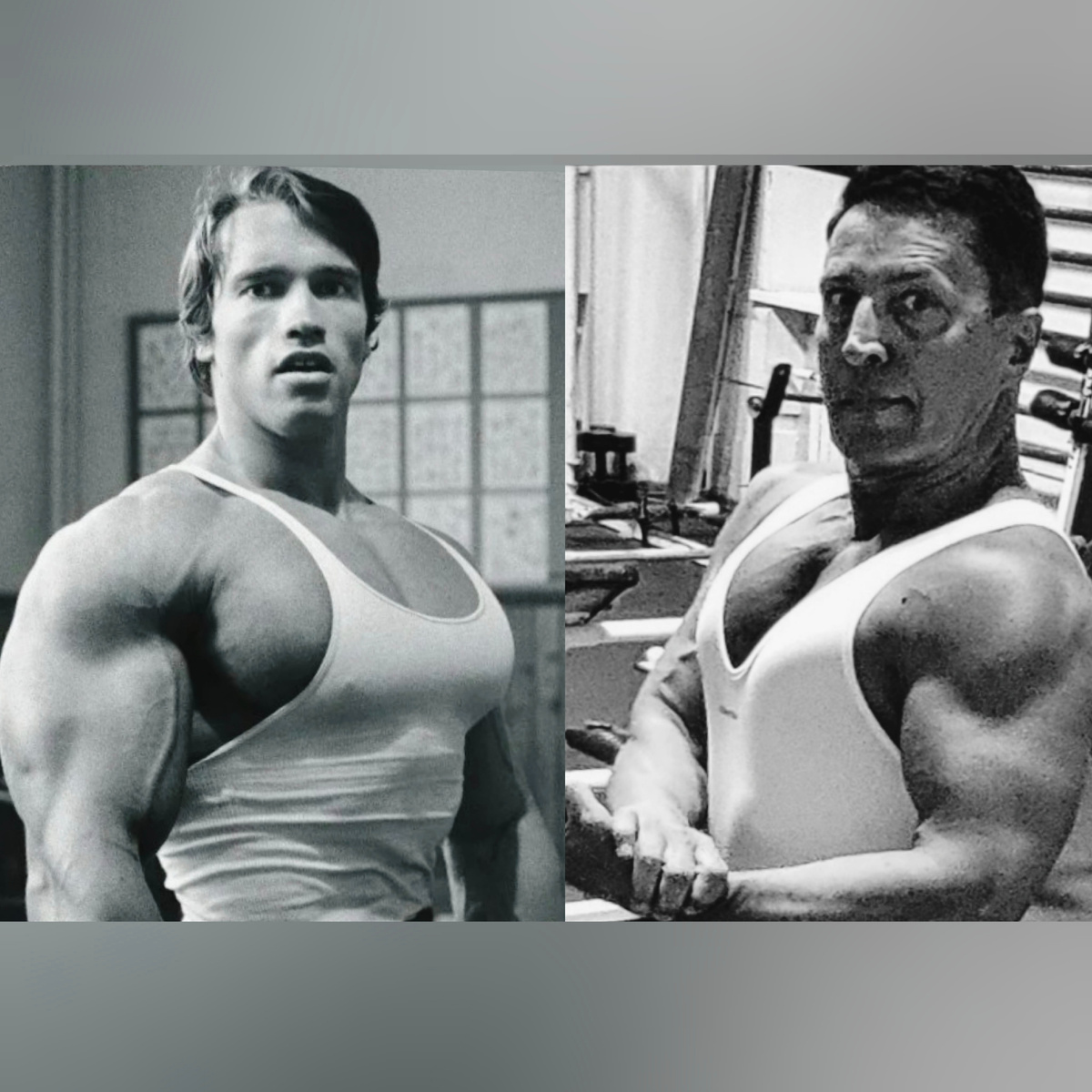 Фото Арнольда и автора