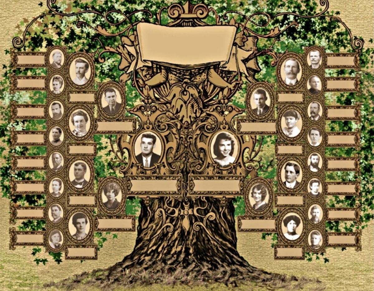 Фото 📷 из открытых источников