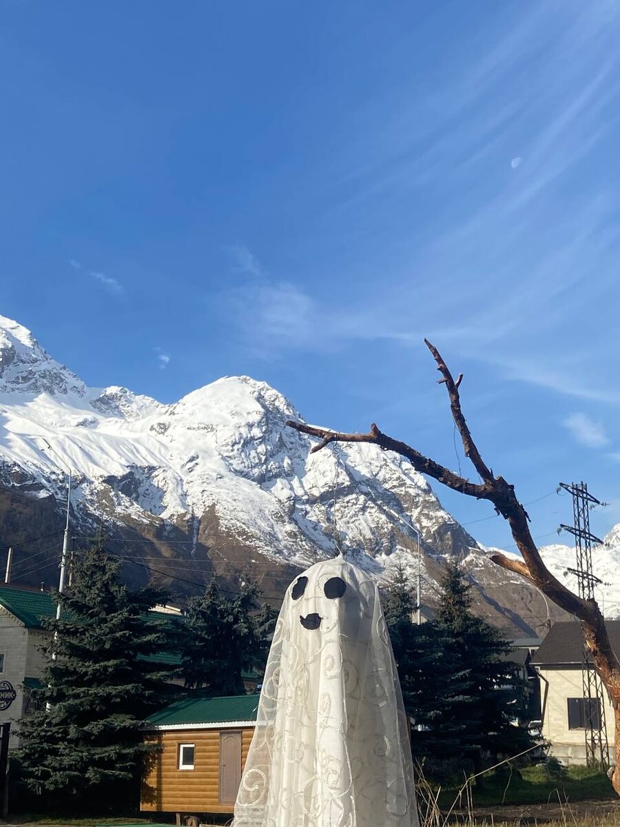 Декор на фоне гор))