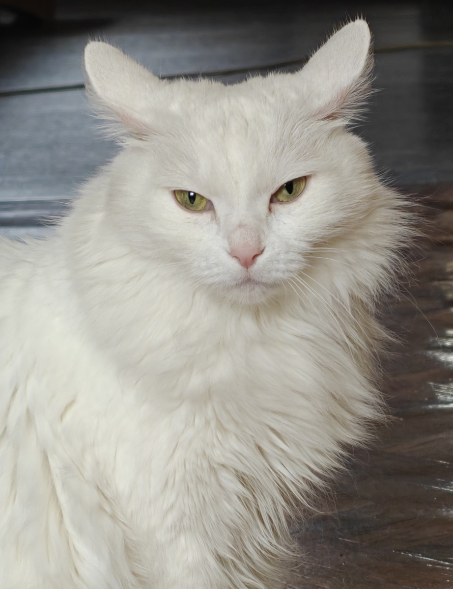 Дуся сегодня тоже всегда настороже, но на много спокойнее