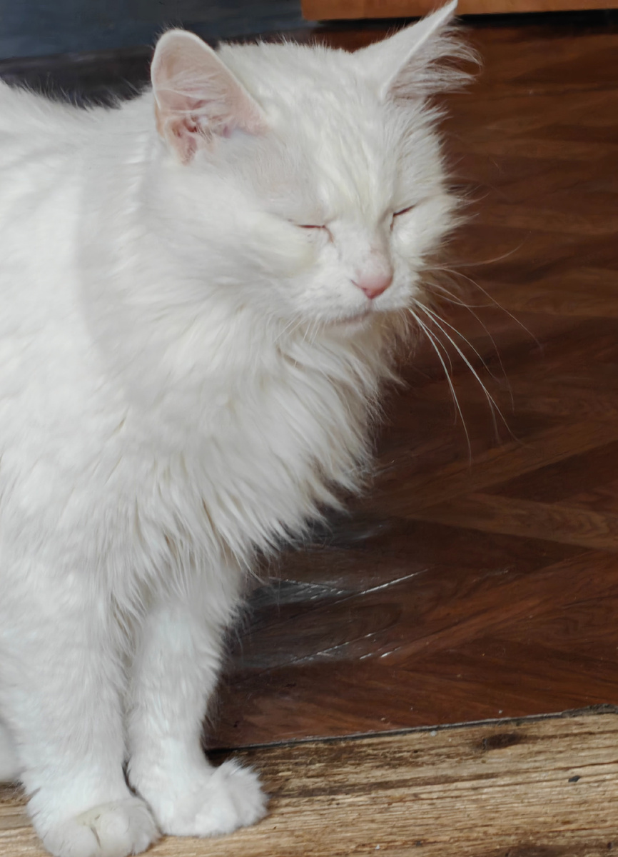 Теперь она не Дуся-агрегат, а Дульсинея