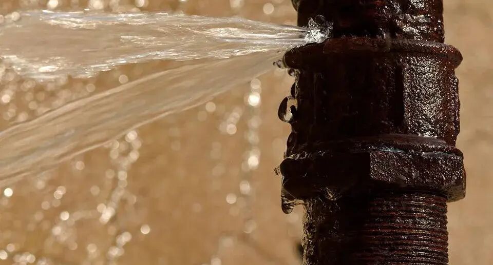    istockphoto.com/Ian_Redding