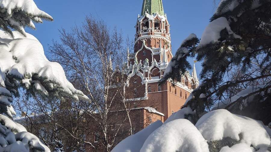    Фото: ИЗВЕСТИЯ/Константин Кокошкин
