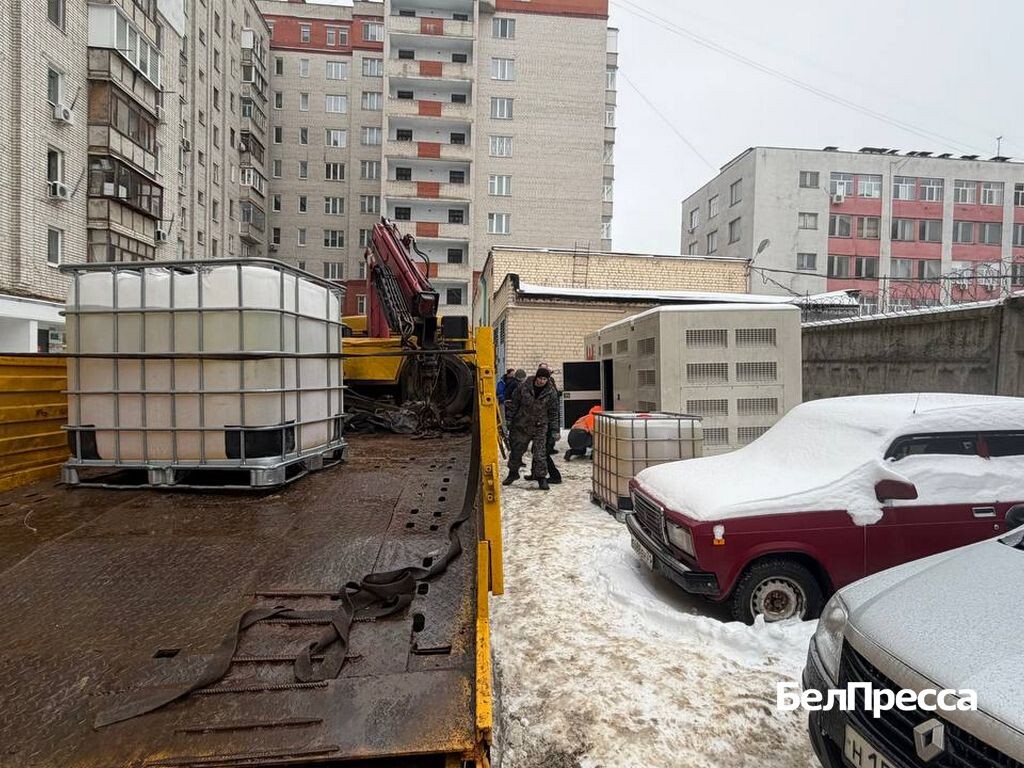     Фото: Екатерина Алавердян
