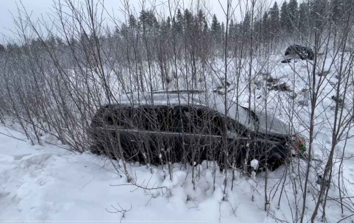    фото: © ГАИ Карелии