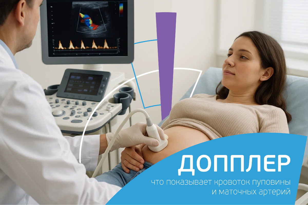 Доплер при беременности: что показывает кровоток пуповины и маточных артерий
