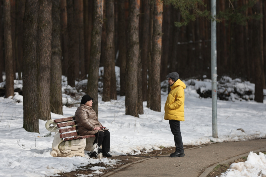    Алексей Белкин/NEWS.ru