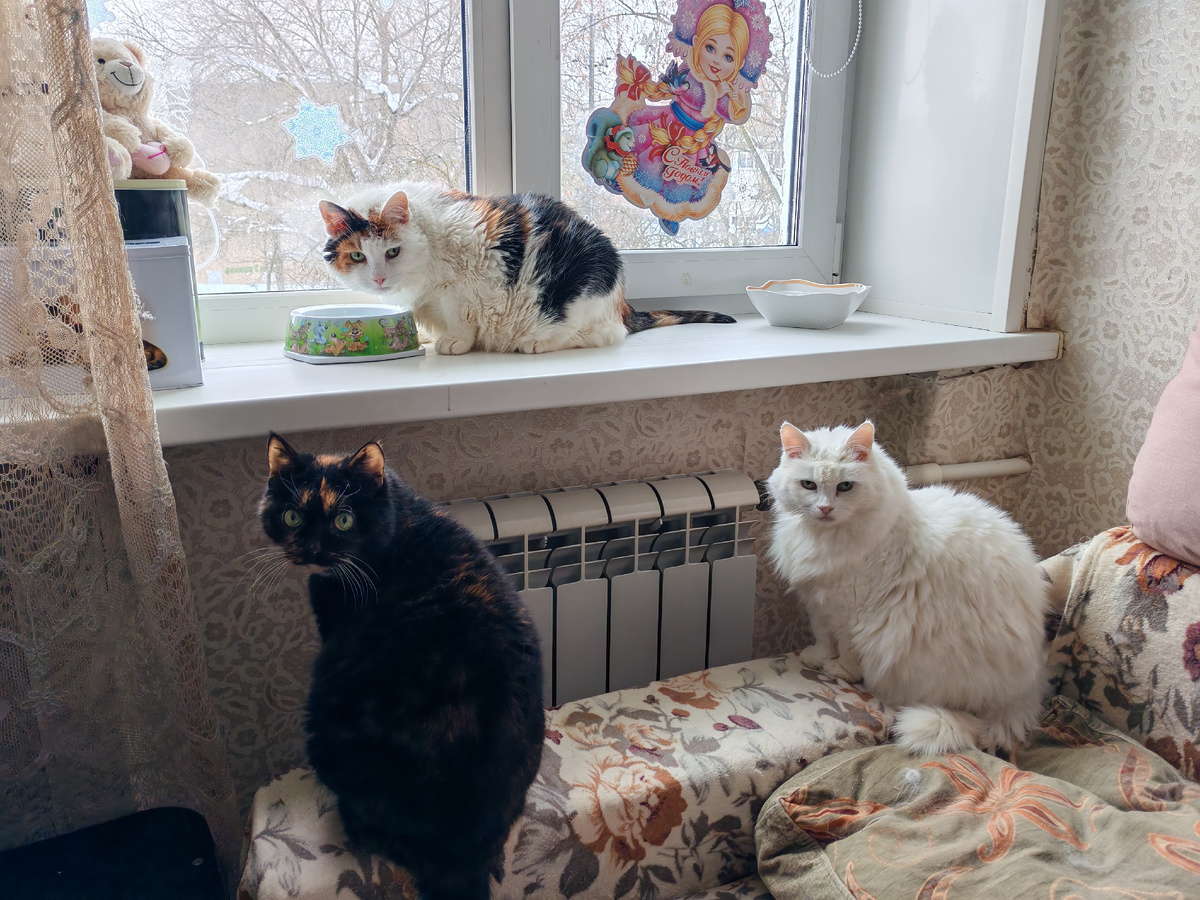 Марфа, Дуня и Майя 