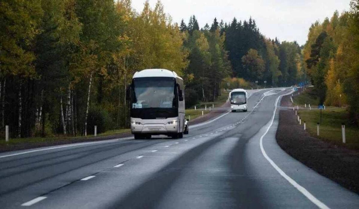     Автобусы на трассе. Источник: spb.kp.ru Автор фото: Юлия Пыхалова