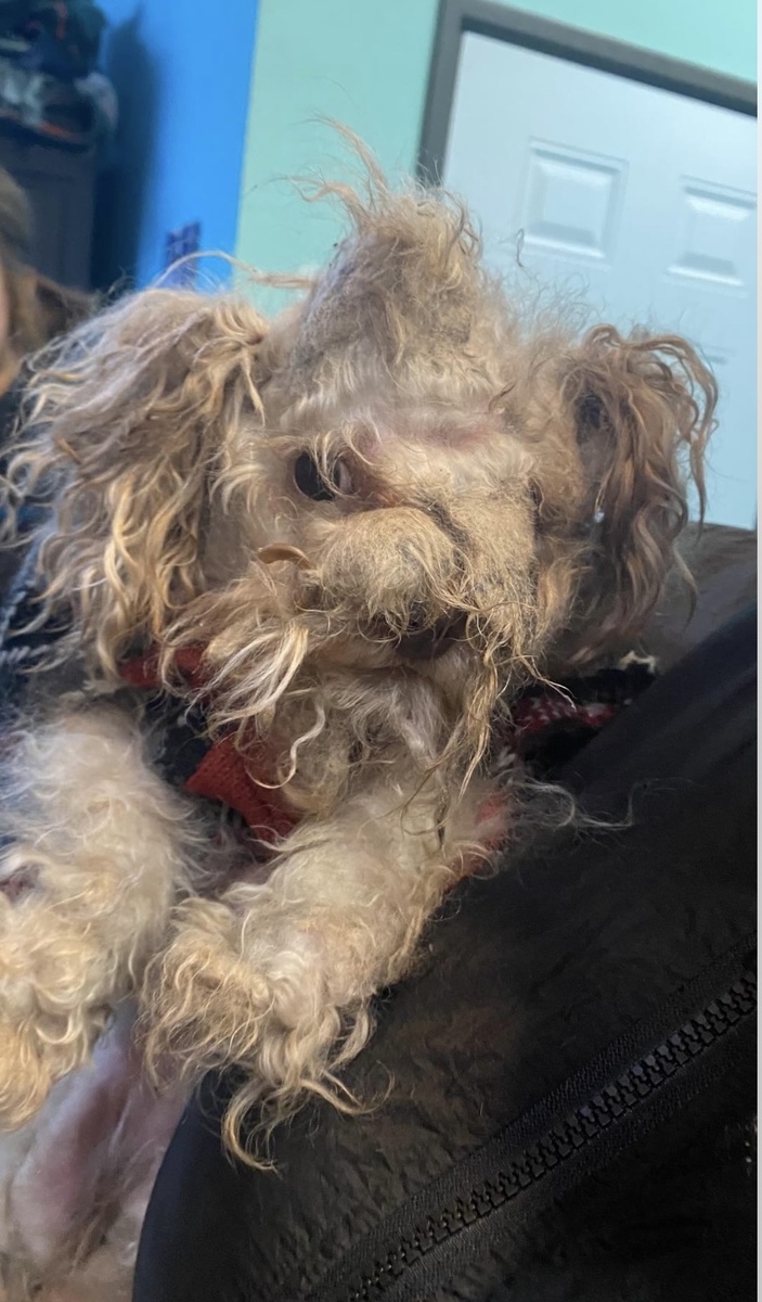 Фото с просторов интернета 