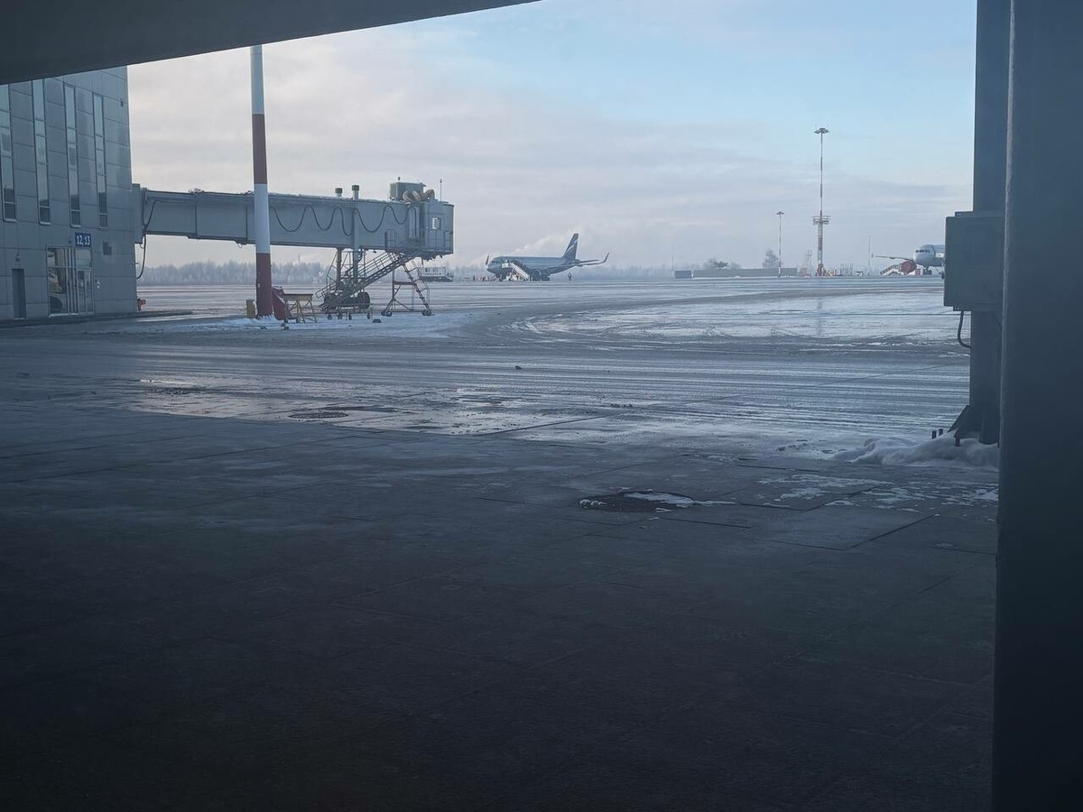 Фото: Neva.Today