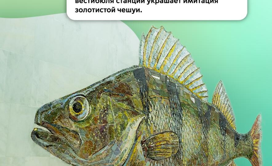 В преддверии 3-летия БКЛ рассказываем о станциях самого протяженного в мире метрокольца
