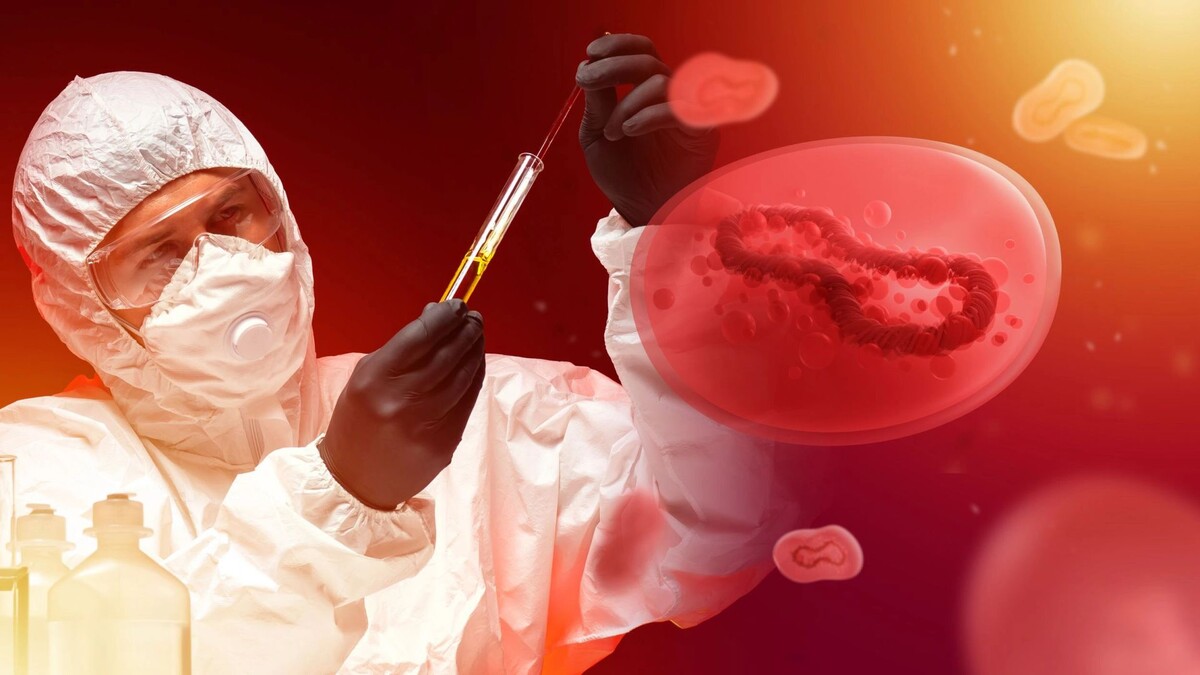    Фото: FOTOGRIN/Shutterstock/Fotodom