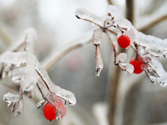    Фото: Москва 24/Роман Балаев