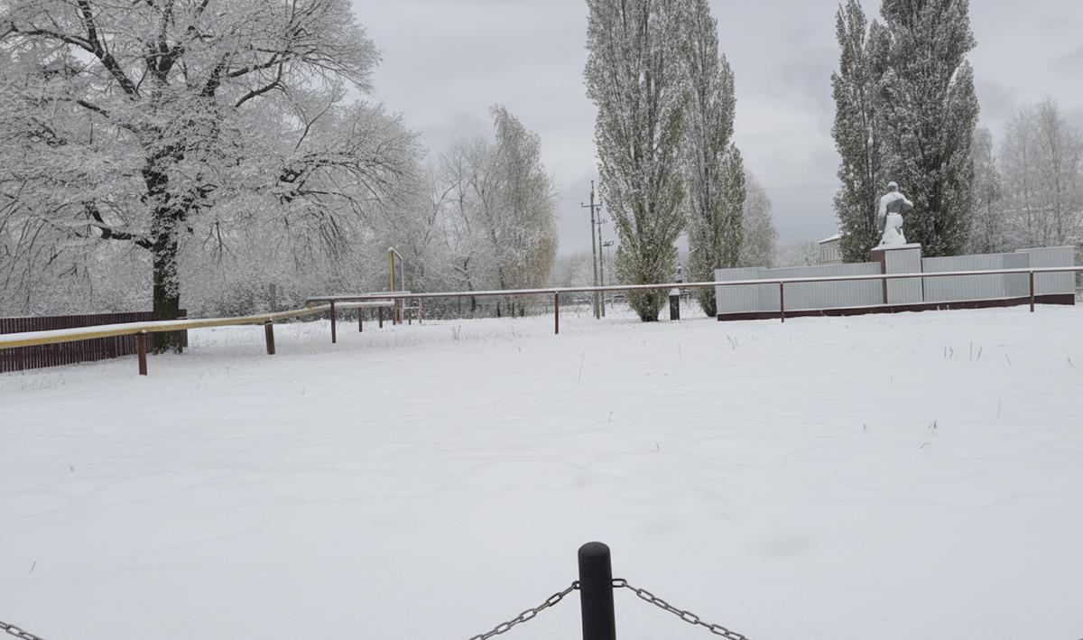 Липа именно та