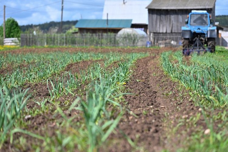    Фото: Правительство Пермского края