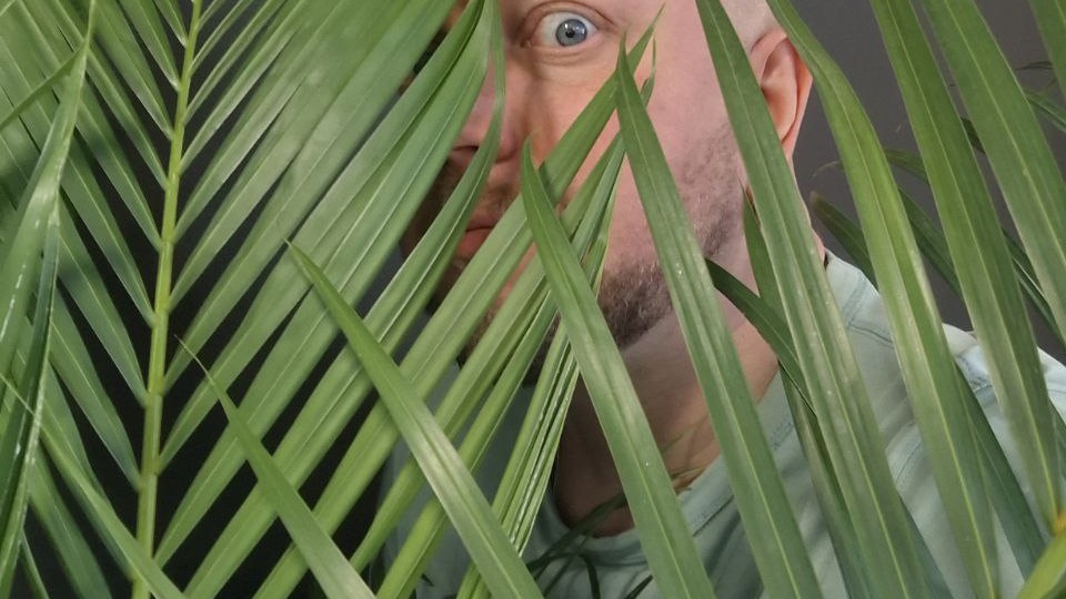 Настроение понедельника от всех спрятаться