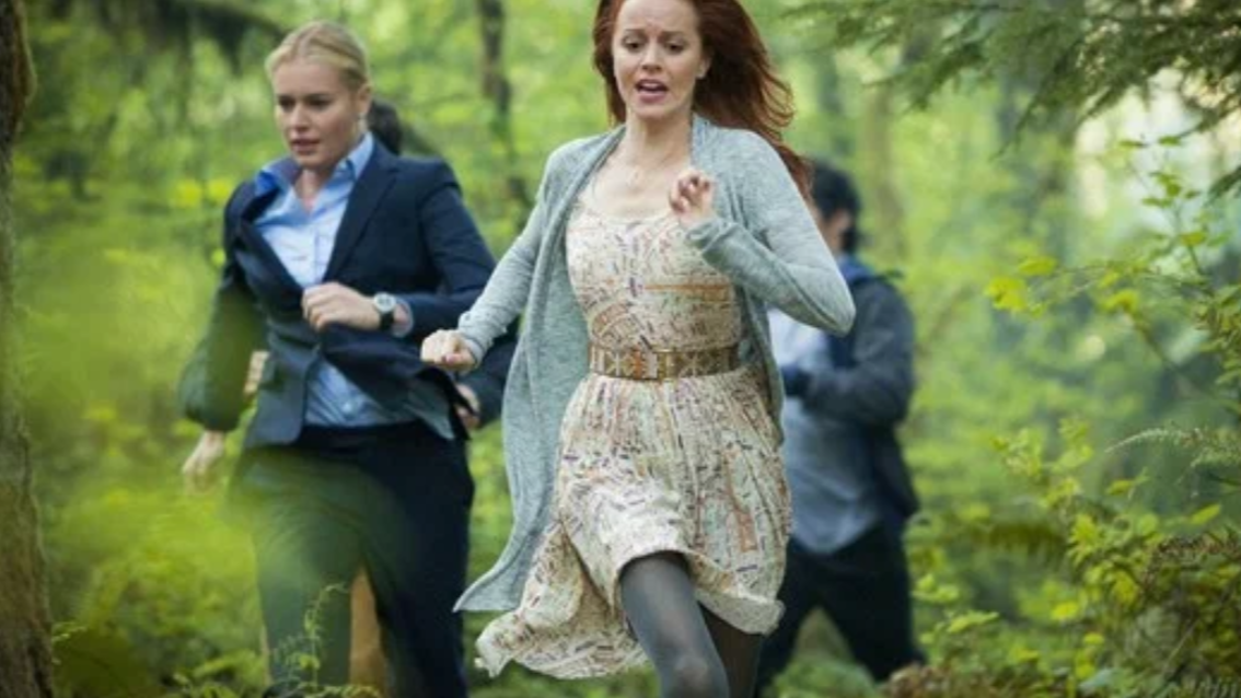 Кадр из сериала «Библиотекари»