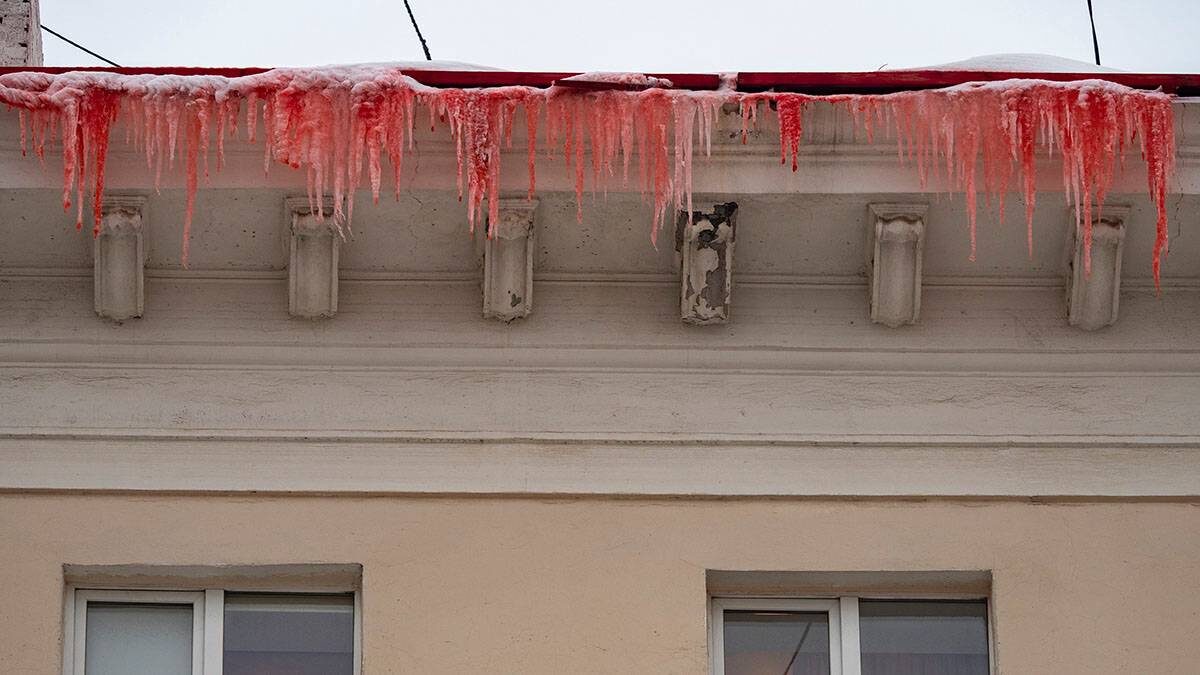    Фото: VK / Игорь Подгорный